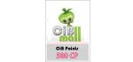 CIB Mall Card 500CP